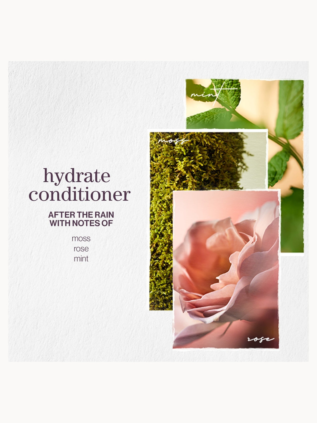 Pureology Hydrate Nourishing Conditioner 1000ml – brand image 7