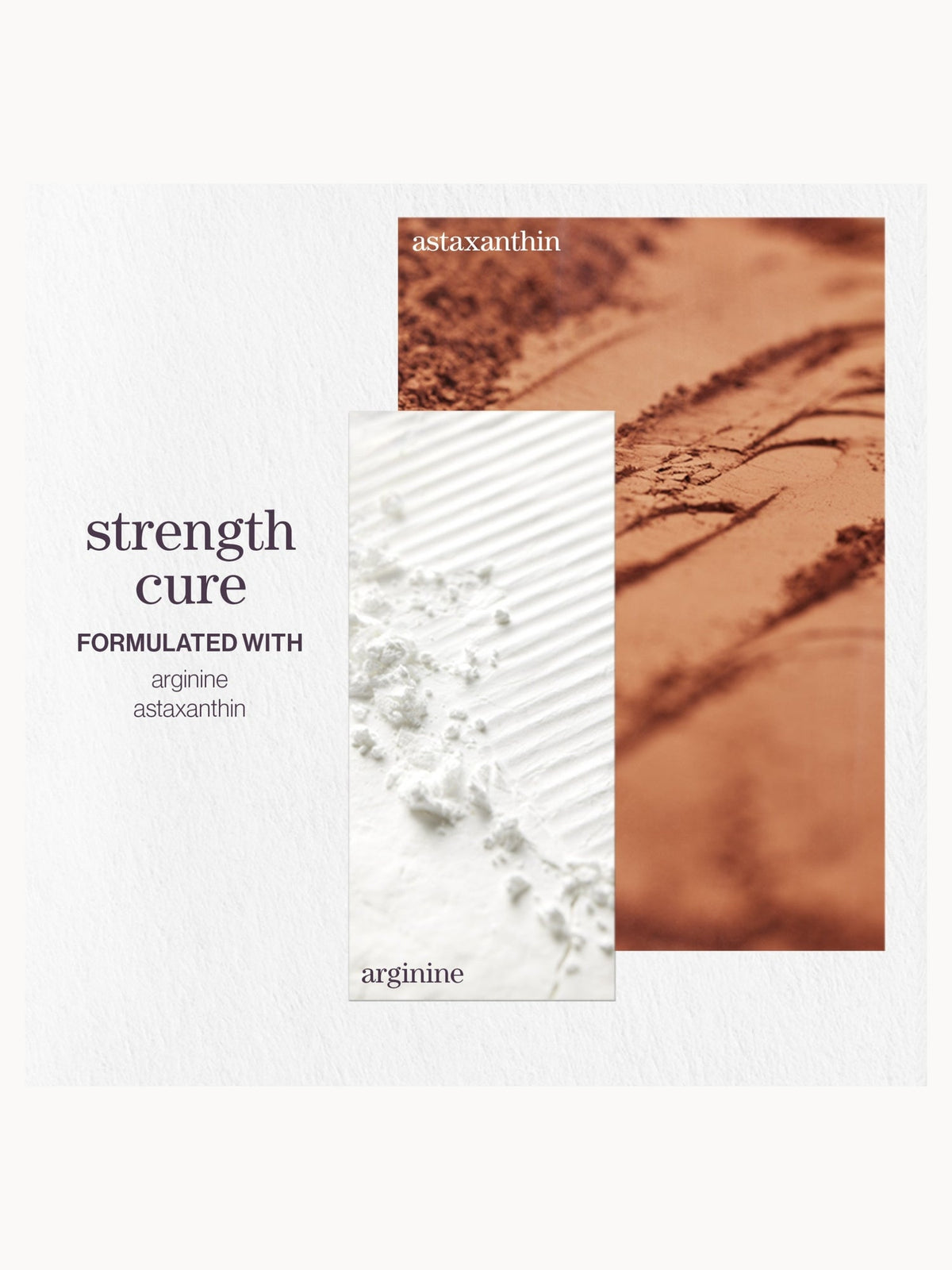 Pureology Strength Cure Shampoo 1000ml – brand image 3