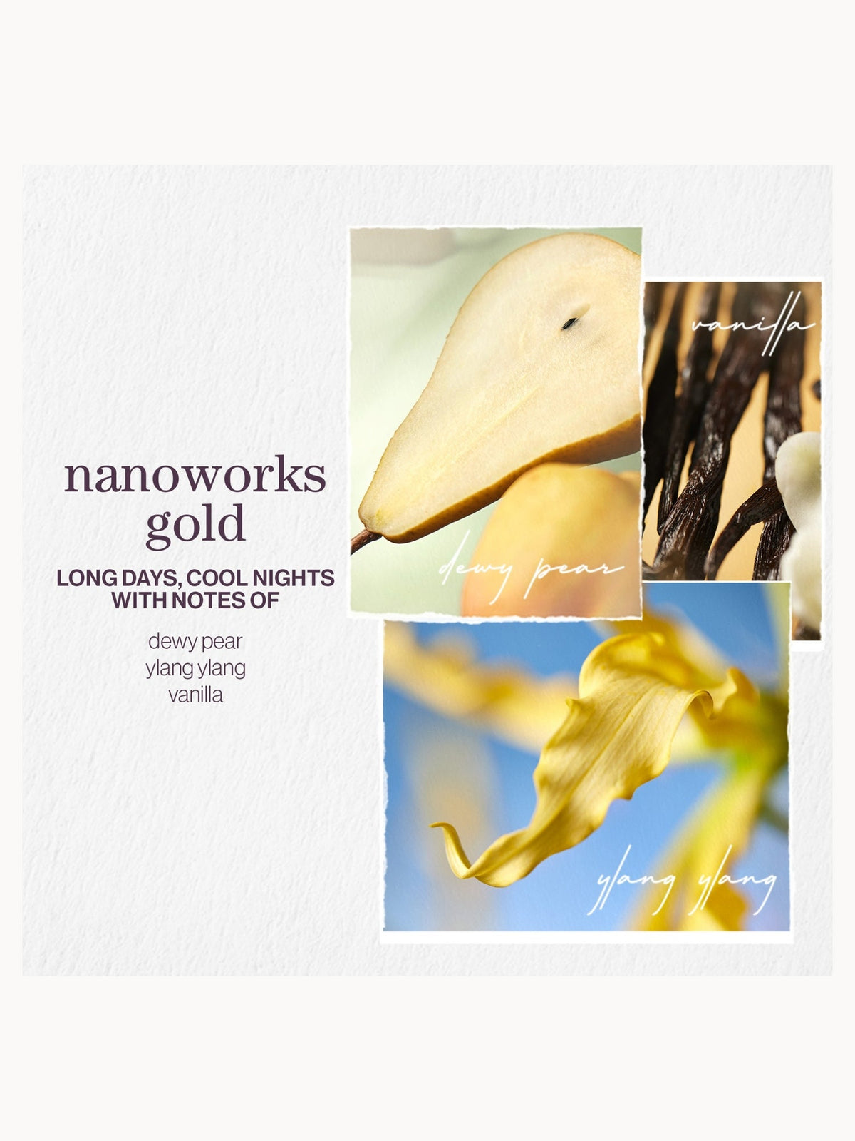 Pureology Nanoworks Gold Shampoo 266ml – brand image 8